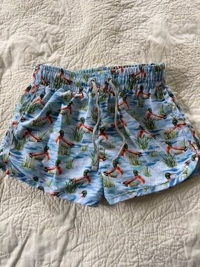Kids Light Blue Duck-Print Swim Trunks with Drawstring